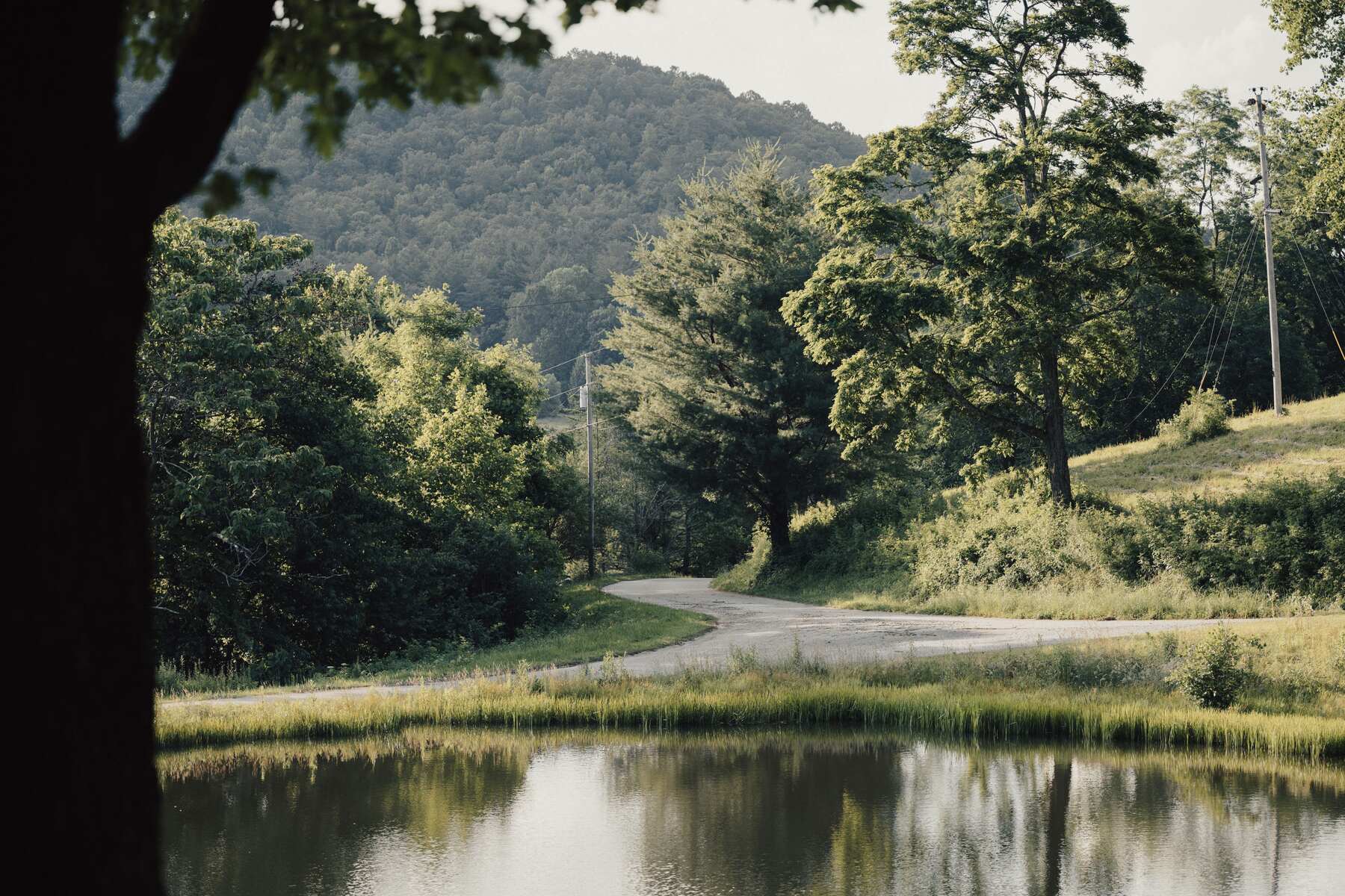 Farm pond surrounded by wooded hills
