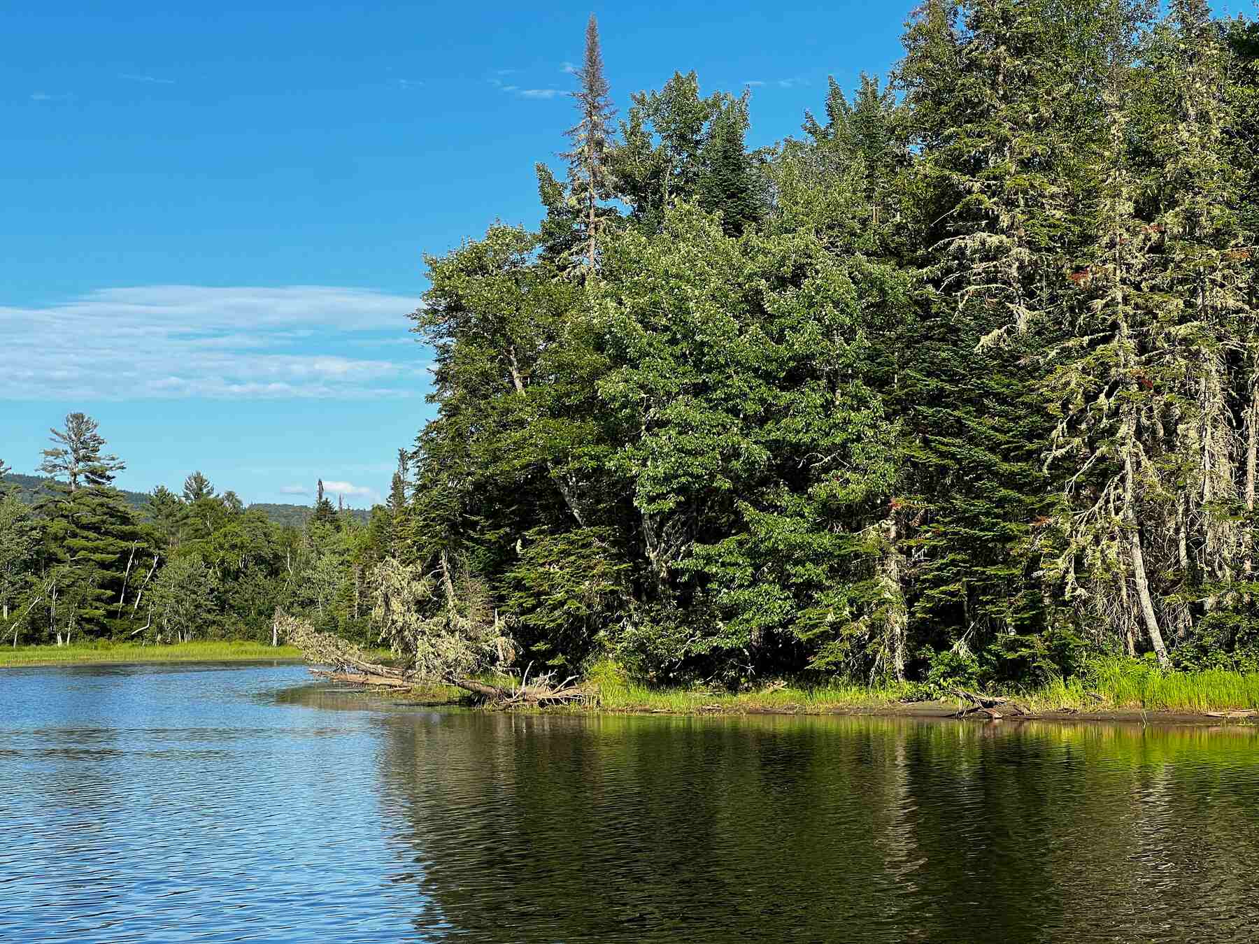 Lake with a wooded shoreline