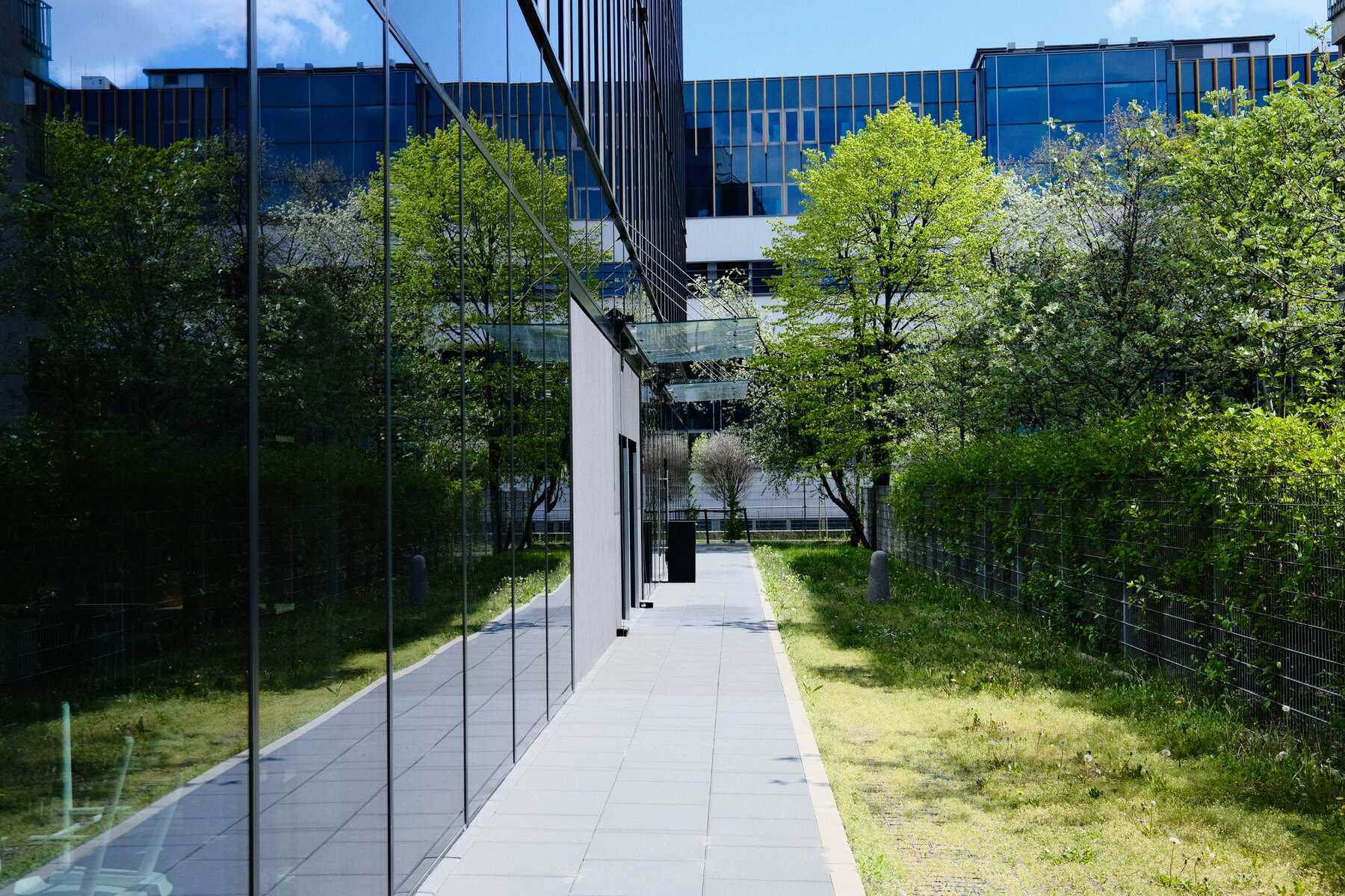 Modern office building with landscaped entry