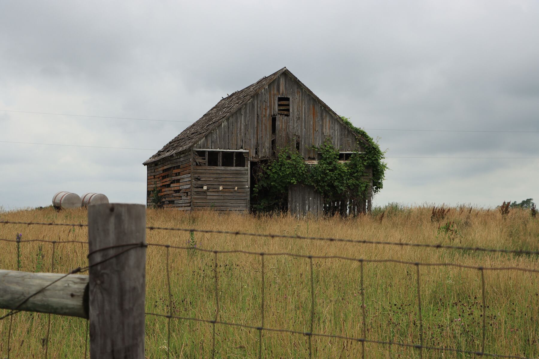 Weathered barn at the edge of a hay field