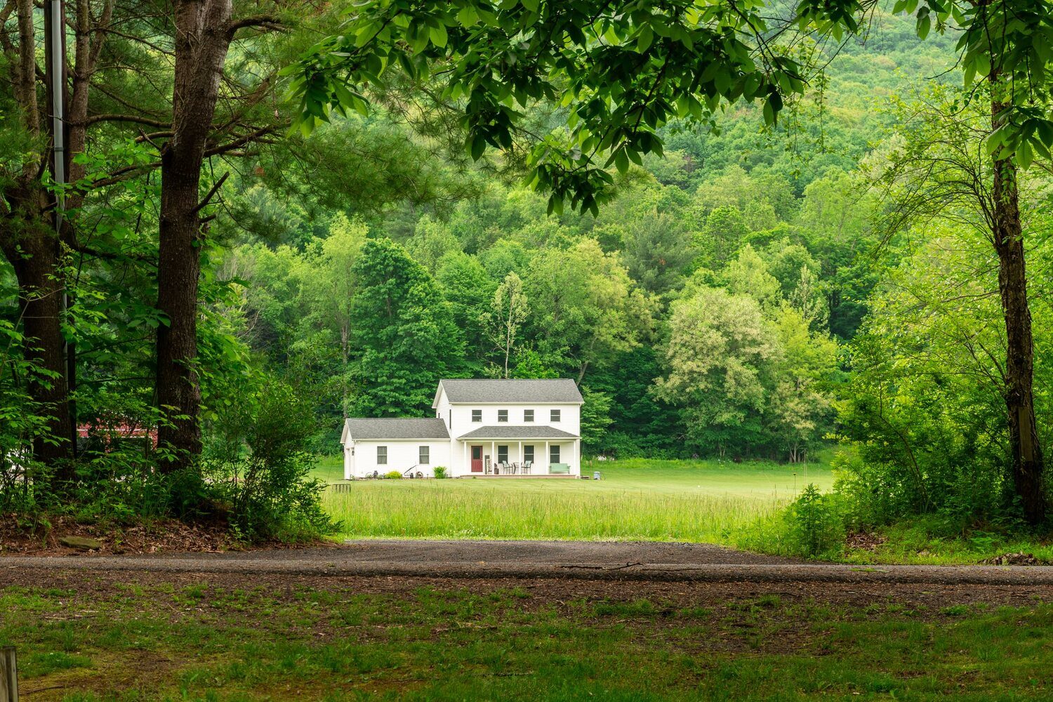 A white farmhouse in a green clearing surrounded by wooded acreage